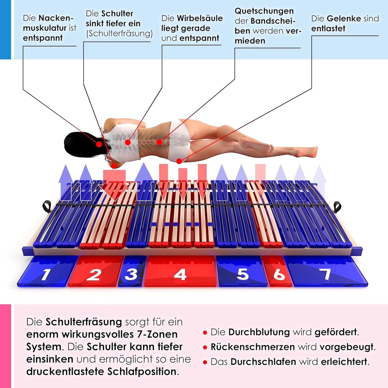 Stabiler Lattenrost 100% BUCHE Lattenrahmen - Kopfteil verstellbar - SCHULTERFRÄSUNG, 7 Zonen, 42 Federleisten, Härte-Regulierung, Mittelgurt - Vario Sleep Best 42® unmontiert (100x190cm)